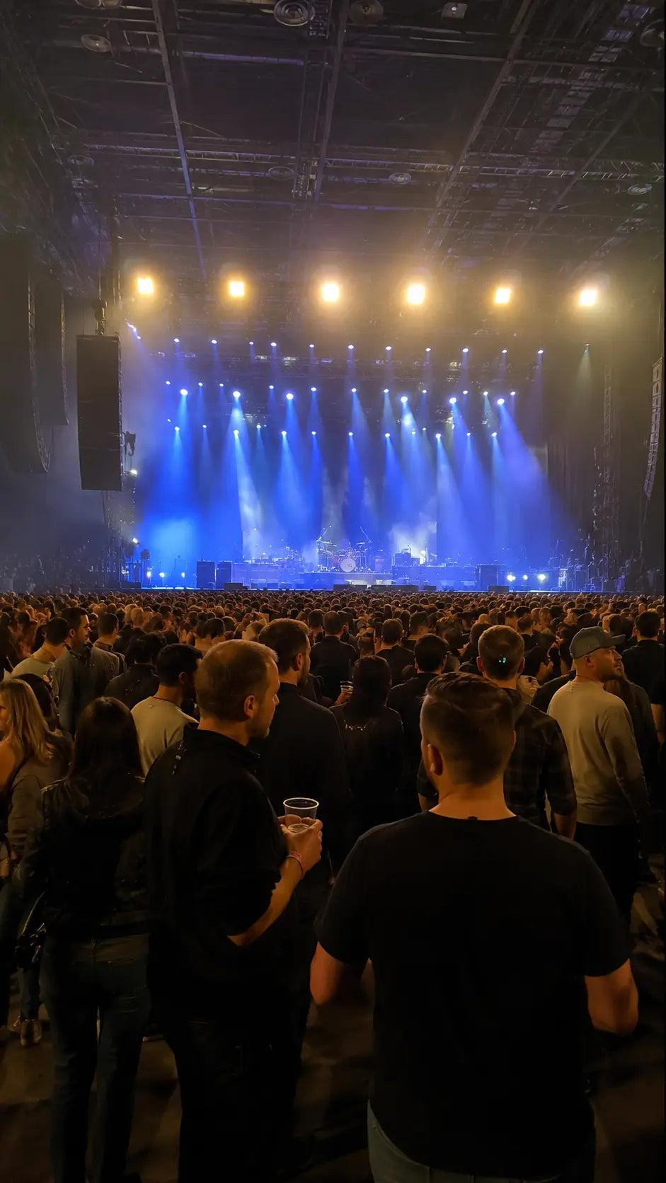 Concerts and Festivals