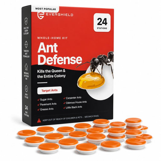 ad-hero-kit.jpg