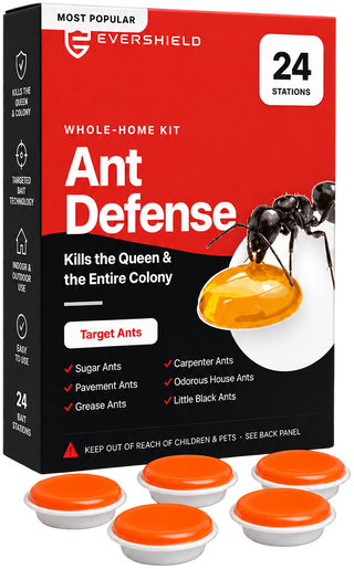 EverShield Ant Defense