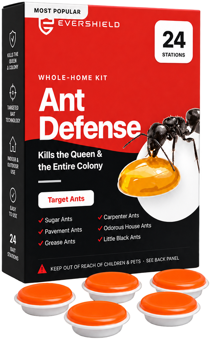 EverShield Ant Defense — Slow-Release Colony Bait Stations