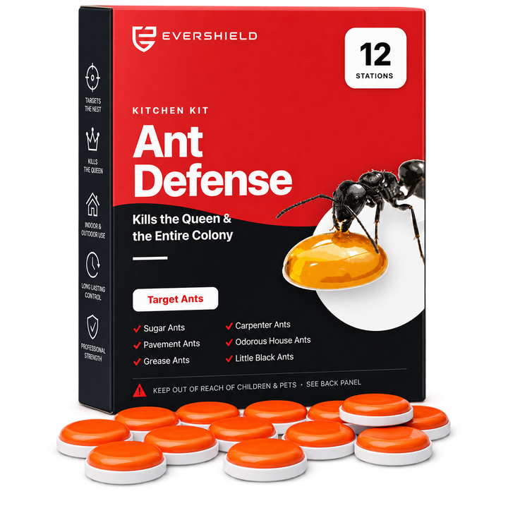 EverShield Ant Defense 12 Stations Kitchen Kit