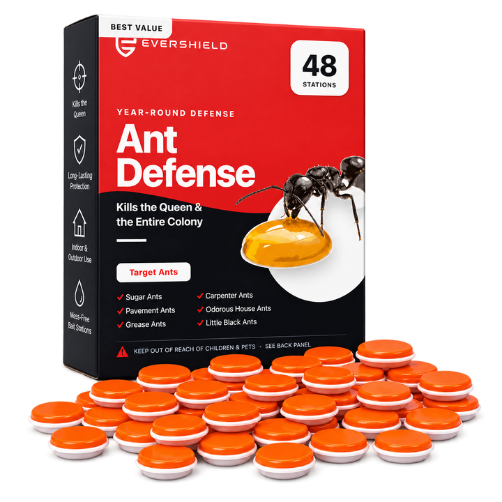 EverShield Ant Defense 48 Stations Year-Round Defense Kit